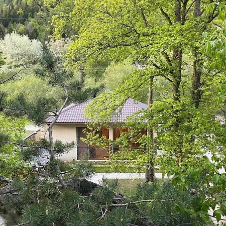 Giorgis Home Borjomi Εξωτερικό φωτογραφία